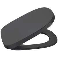 Сиденье для унитаза с микролифтом Roca Beyond 801B8264B