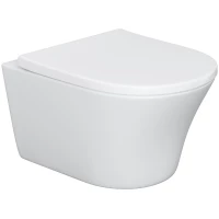 Унитаз подвесной Damixa Skyline DX35C1700SC безободковый, с сиденьем микролифт, белый