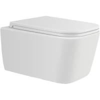 Унитаз подвесной Avimano Vision 1000041 безободковый, с сиденьем микролифт, белый матовый