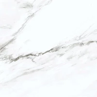 Керамогранит Harmony E-3011 матовый 60x60