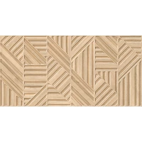 Керамогранит Ess. Rlv. Poppins Fuoco Matt Rect 60x120