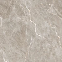 Керамогранит 45354 Heaven Brown Carving 60x60