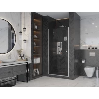 Душевая дверь 90 см Ambassador Elysium 111011110CX прозрачное