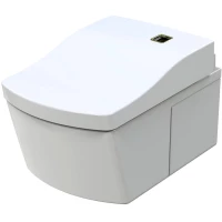 Электронный унитаз-биде подвесной Toto Neorest AC 2.0 CW996PVD#NW1 + TCF996RWG#NW1 безободковый, с сиденьем микролифт, белый