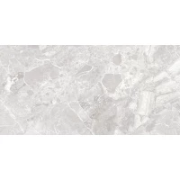 Керамогранит Greiny Gris матовый 60x120