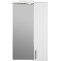 Зеркальный шкаф 50х83,9 см белый глянец/дерево R IDDIS Sena SEN5000i99 - 3