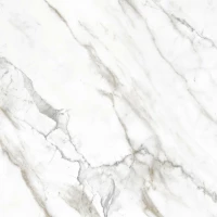 Керамогранит Harmony E-3013 матовый 60x60