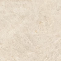 Керамогранит 004.120.0001.14164 Taj Mahal Polished Rect 120x120