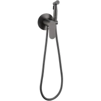 Гигиенический душ Raglo R10.52.09 со смесителем, графит матовый