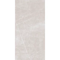 Керамогранит 1002 SATIN BASE GLOSSY 60x120