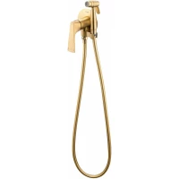 Гигиенический душ Raglo R07.52.03 со смесителем, золотой матовый