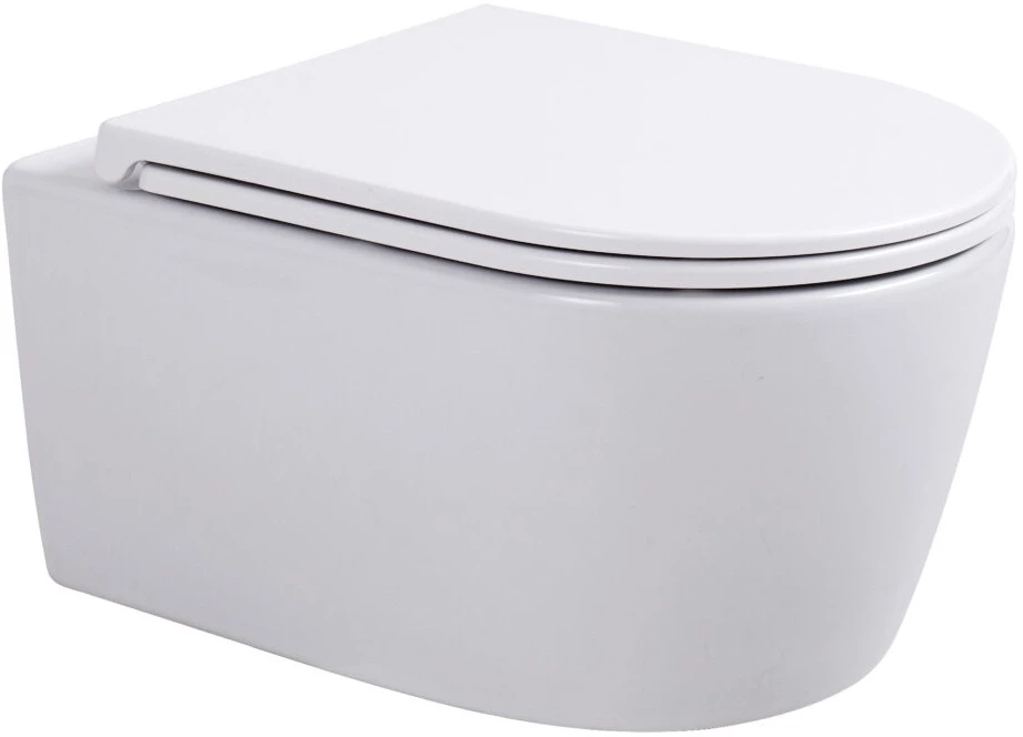 

Унитаз подвесной Avimano Ambition 1000050 безободковый, с сиденьем микролифт, белый глянец