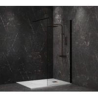 Неподвижная перегородка 80 см Paini PAINI-WalkIN80C прозрачное