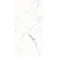 Керамогранит 1011 SATIN BASE GLOSSY 60x120