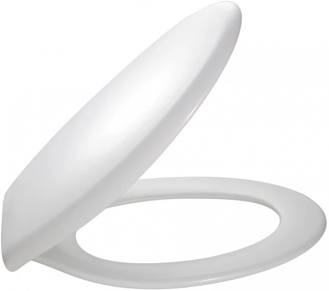 

Сиденье для унитаза с микролифтом Jacob Delafon Brive E70014-00