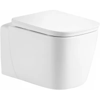 Унитаз подвесной Black & White Gravity 770WX безободковый, торнадо, с сиденьем микролифт, белый