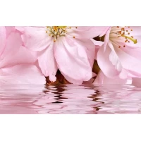 Декор Букет розовый 07-00-5-09-01-41-665 25x40