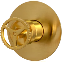 Смеситель для душа Remer Chrono CH30LBG встраиваемый, золотой матовый