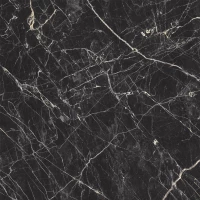 Керамогранит Блэк Аркадиа х9999281086 черный полированный 60х60