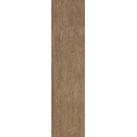 Керамогранит Atlas Concorde Axi Brown Chestnut 22,5x90 R10 (AS3A)