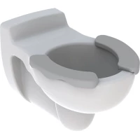 Унитаз подвесной Geberit Bambini 201715000 детский, белый