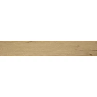 Керамогранит fPVZ Roots Honey Matt R9 20x120 RT