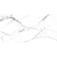 Керамогранит белый Carrara Terrific Silver 60x120