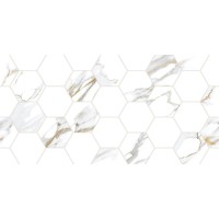 Плитка Dublin TWU09DBL014 24,9x50