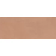 Плитка Каннареджо оранжевый матовый 20x50x0,8