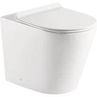 Приставной безободковый унитаз BelBagno Flay-R BB1003CBR