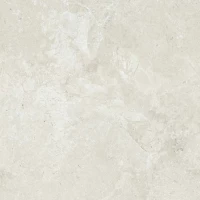 Керамогранит Legend E-5000 матовый 60x60