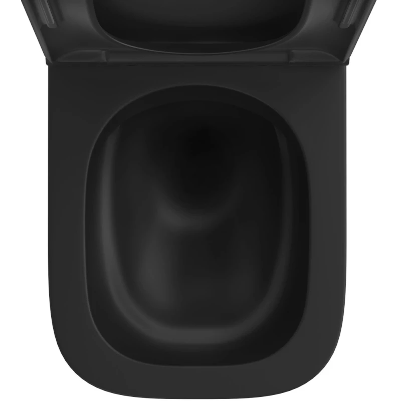 Унитаз подвесной Wellsee Pure 182604000 + 182618000 безободковый, с сиденьем микролифт, черный матовый