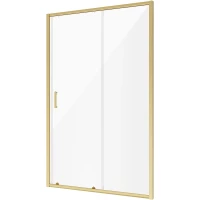 Душевая дверь 120 см Niagara NG-42-12AG прозрачное