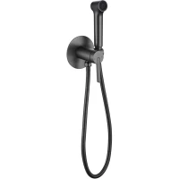 Гигиенический душ Rose R235T со смесителем, оружейная сталь