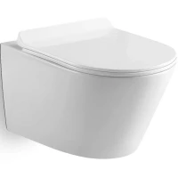 Унитаз подвесной Black & White 703W00 безободковый, с сиденьем микролифт, белый