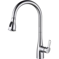 Смеситель для кухни D&K Rhein.Schiller DA1462501