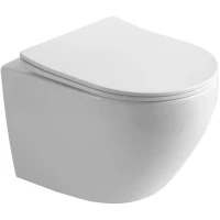 Унитаз подвесной Olive’S Plaza PL30116DP безободковый, с сиденьем микролифт, белый