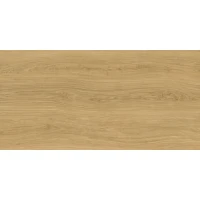Керамогранит Дориан янтарный LP6012G0821R8 59,5x119,1 матовый