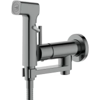 Гигиенический душ Aquatek Ника AQ1819BGM со смесителем, оружейная сталь матовый