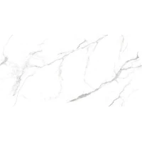 Керамогранит 16917 Glorious White Glossy 60x120