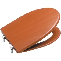 Сиденье для унитаза с микролифтом Roca America 801492M14