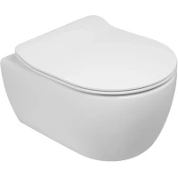 Унитаз подвесной SSWW CT2038V безободковый, с сиденьем микролифт, белый