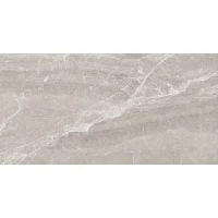 Керамогранит Nostalgic Silver полированный 60х120