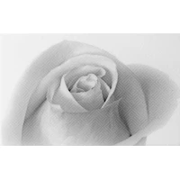 Декор Камелия чёрно-белый 01 25x40