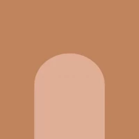 Керамогранит Fioranese Italian Landscape Firenze C R10 20.5x20.5 ILFI20C