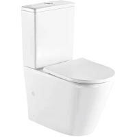 Унитаз-компакт WeltWasser Salzbach 001GL-WT безободковый, с сиденьем микролифт, белый