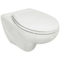 Унитаз подвесной Roca Victoria 34630300R белый