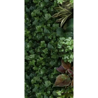 Керамогранит 4100151 Jane A 50x100