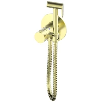 Гигиенический душ AltroBagno Beni aggiuntivi AltroBagnoOggetto060403BG с термостатом, золотой матовый