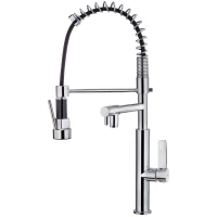 Смеситель для кухни Teka FOT 999 116010003